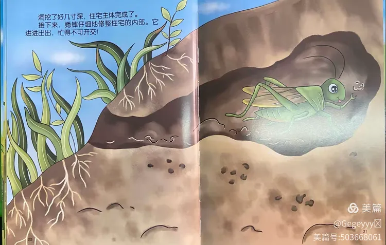 随着身体的生长,蟋蟀逐渐让自己的家变得更加宽敞